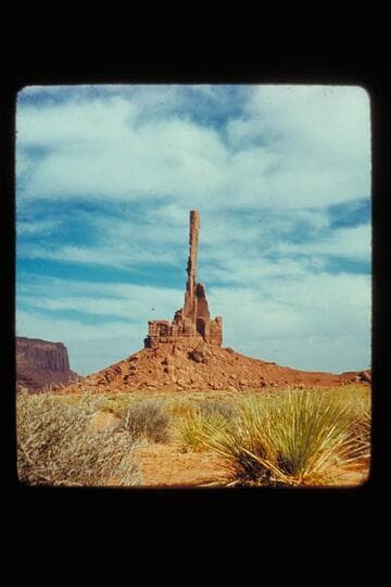 Totem pole