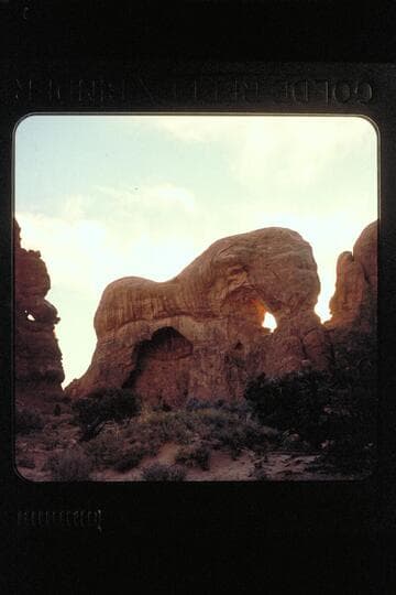 Arches