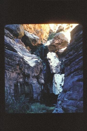 Elves' Chasm?