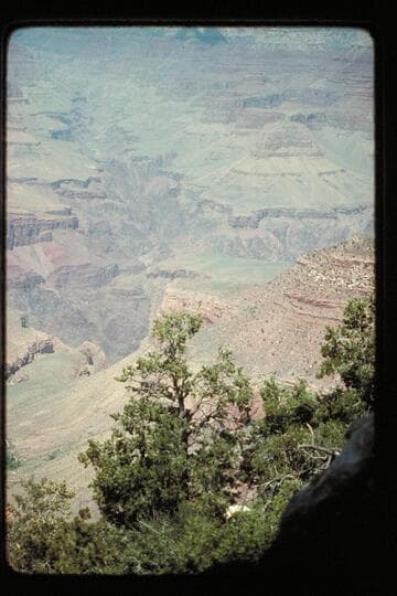 Up Bright Angel Canyon from over the South Rim.  Taken when flying from Grand Canyon Airport to Kanab
