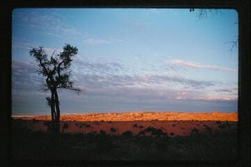 Waterpocket Fold from Halls Creek near airstrip