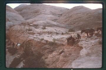 Drop down into camp west of Nasja Creek