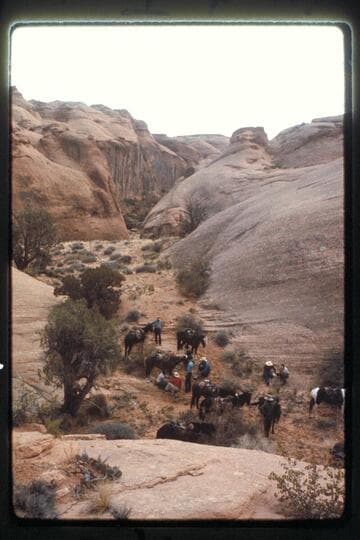Slick-rock trail west of Nasja Creek, repairs to Tom's horse