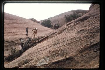Slick-rock trail out of Nasja Creek