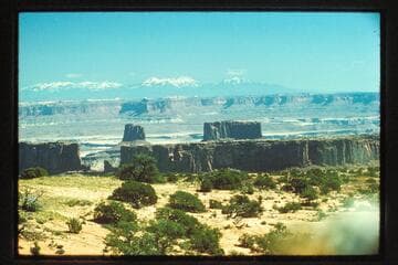 La Sals; Steer Mesa