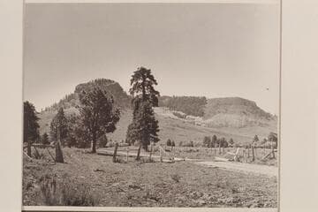 At the Bear's Ears