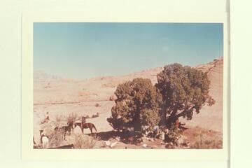 At base camp