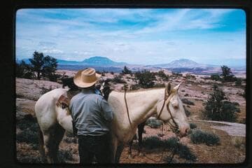 From Waterpocket Fold across Halls Creek to Henry Mountains