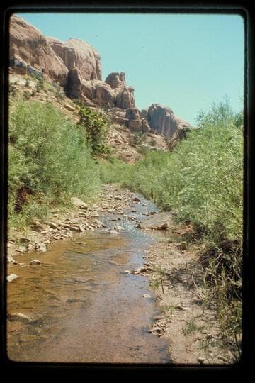 Stream