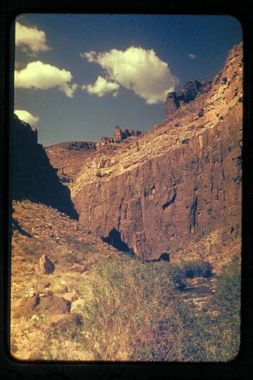 Up Tapeats Creek