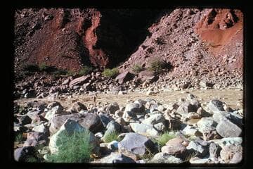 Hance Rapids
