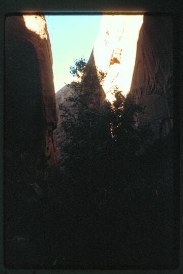 Anasazi Canyon