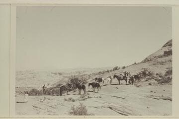 On saddle between Bald Rock Creek and Nasja Creek?