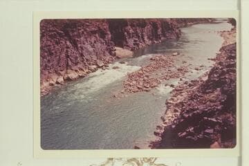 Bass Rapid