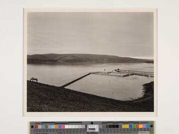 Tomales, N. Coast