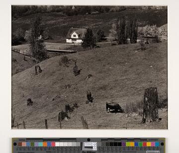 Oregon, on Columbia River