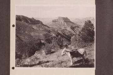 Steamboat Mountain and Saddle Canyon from Muav Saddle