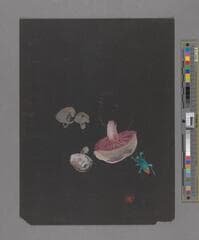 Go to image 191.