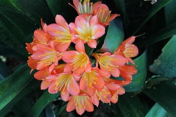 Go to image 2.