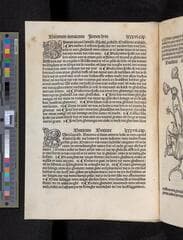 Go to image 116.