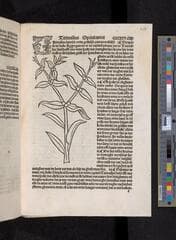 Go to image 513.