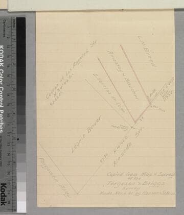 Amestoy, Domingo - Amestoy-Bauchet parcel