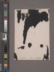 Go to image 112.