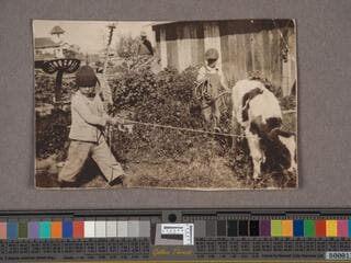 Go to image 48.