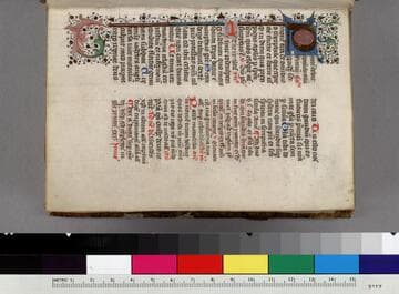 Breviary, for Dominican use : [manuscript]