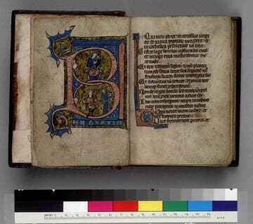 Psalter : [manuscript]