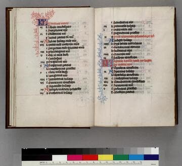Book of Hours, in Dutch : [manuscript]