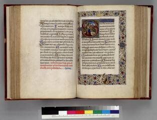 Go to image 5.