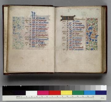 Book of Hours, use of Paris : [manuscript]