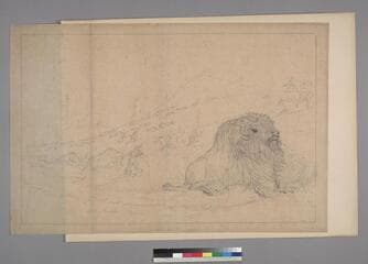 Go to image 114.