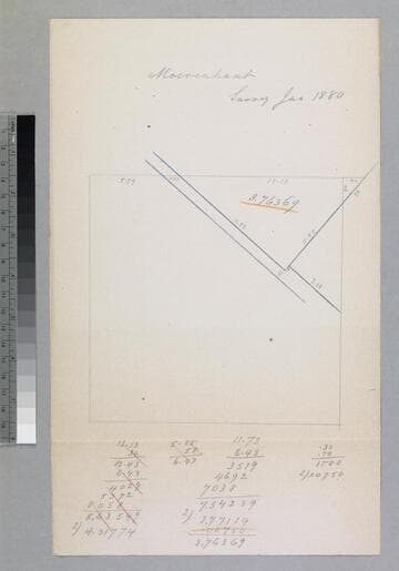 Moerenhaut Survey