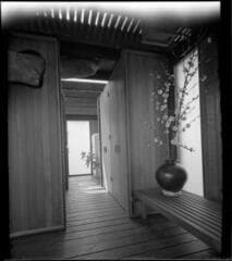 Go to image 6.