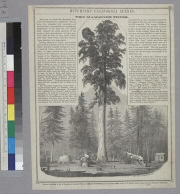 Hutchings’ California Scenes. The Mammoth Trees