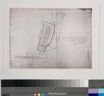 Vineyard of Mr. Estevan Foster situate in the vicinity and South of the City of Los Angeles