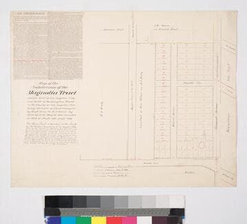 Subdivision of the Magnolia Tract