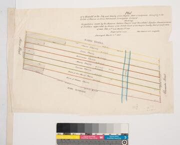 Plat of a Vineyard and orchard