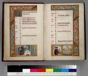 Book of Hours, use of Rome : [manuscript]