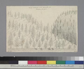 Deep vale of a N. branch of Feather River