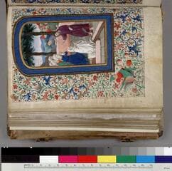 Go to image 11.