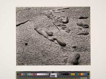 Sandstone Concretions, Salton Sea