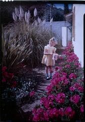 Go to image 12.