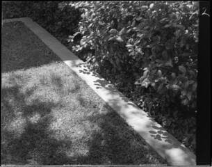 Go to image 2.