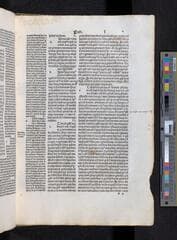Go to image 301.