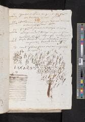Go to image 247.