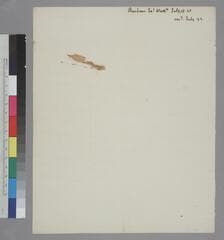 Go to image 2.