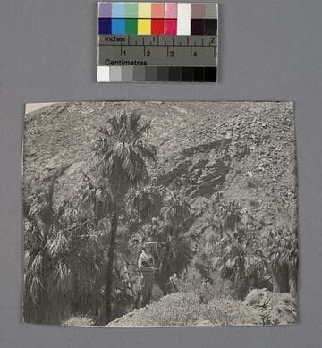 Grace Burke Hubble in Canyon Palms, Palm Springs, California